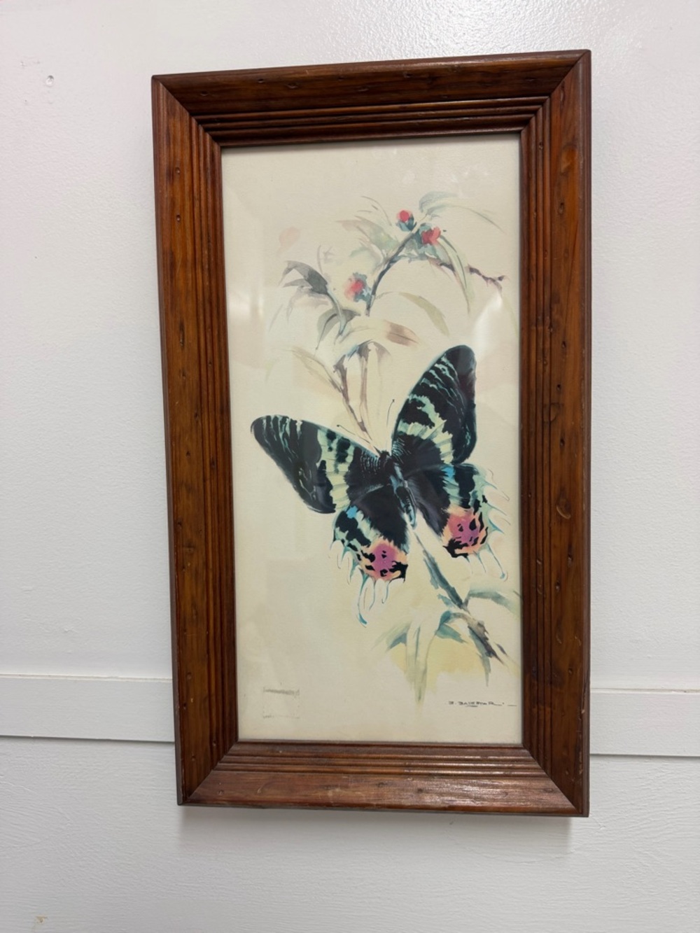 Vintage Framed Watercolor Butterfly Print Signed B. Ballestar 18.5” X 10.5”